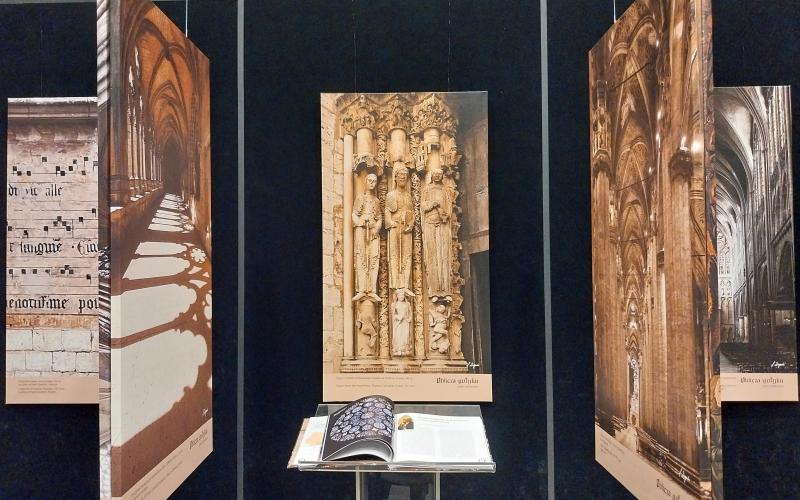 Oblicza gotyku - oprowadzanie kuratorskie 13.01.2024