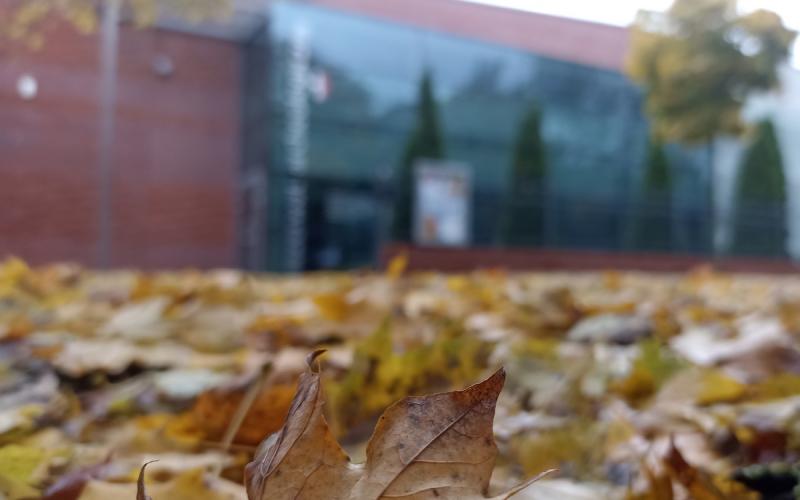 Remont rezerwatu 2.11 -1.12.2023 - zmiany dla Zwiedzających