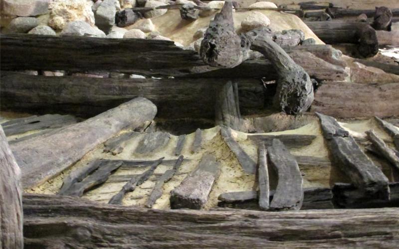 PUBLIKACJE REZERWATU DOSTĘPNE W PDF