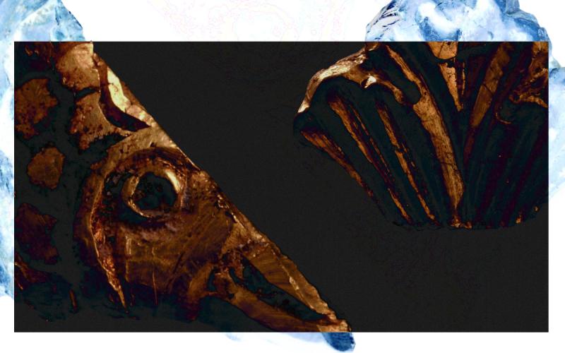 Wystawa czasowa ”Wczesnośredniowieczne ozdoby złote odkryte w pracowni złotniczej przy poznańskim palatium”