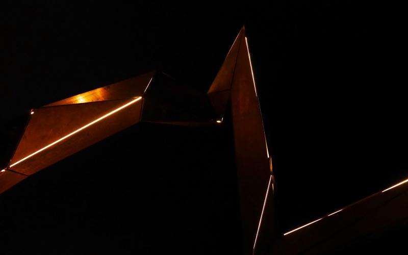 Rezerwat Zamknięty 6.01.2023 r.